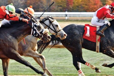 Mahoning Valley Horse Racing